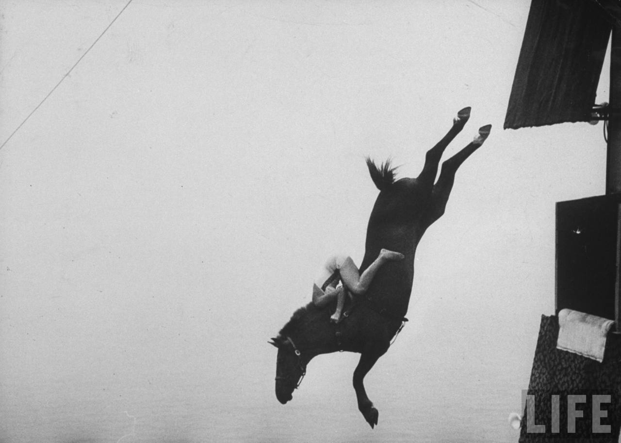 Peter Stackpole - Untitled Works (Horse Diving), 1953-1955. Gelatin silver print.